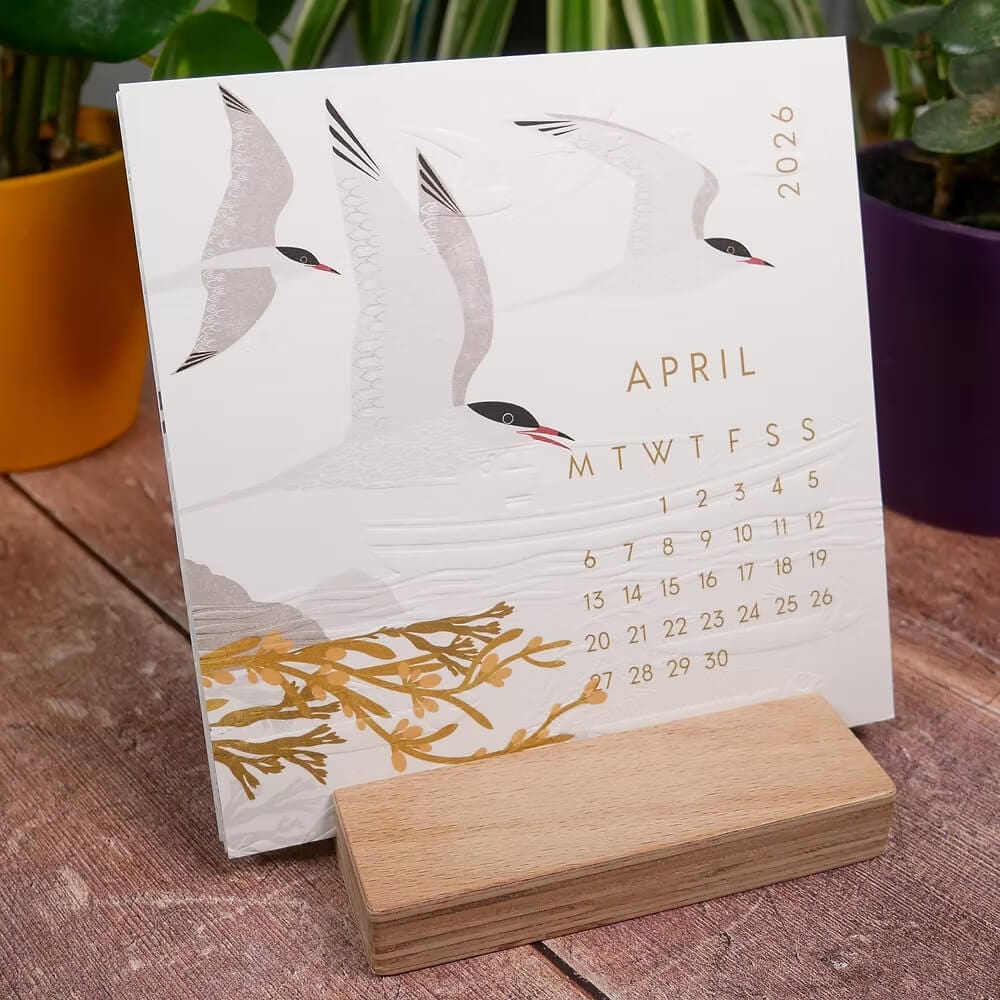 Bird Calendar Hand Embossed 2026 Bird Desk Calendar (With Stand or Without Stand) homeware shops bristol gift shops bristol Ash Leaf Printmaking