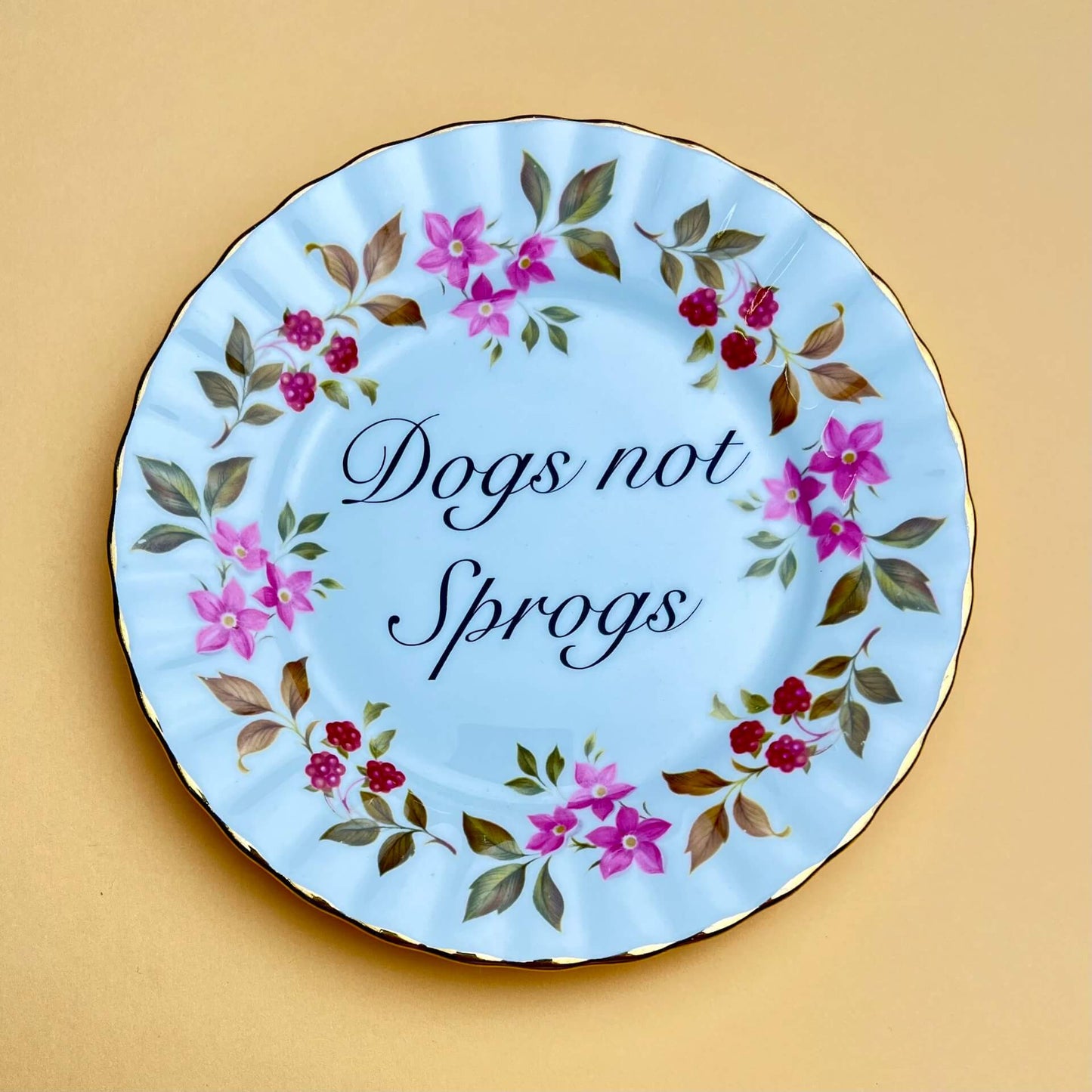 Ceramics D Decorative Wall Plate - Dogs Not Sprogs (various styles) homeware shops bristol gift shops bristol Beau & Badger