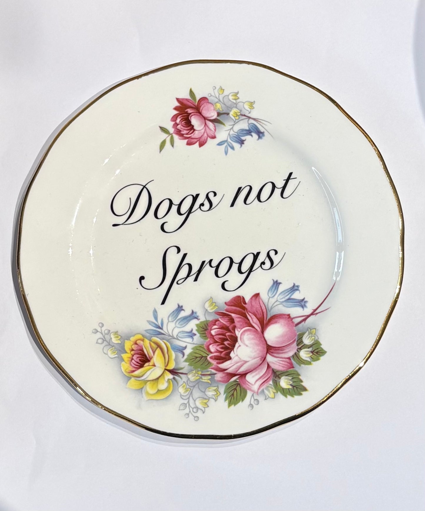 Ceramics E Decorative Wall Plate - Dogs Not Sprogs (various styles) homeware shops bristol gift shops bristol Beau & Badger