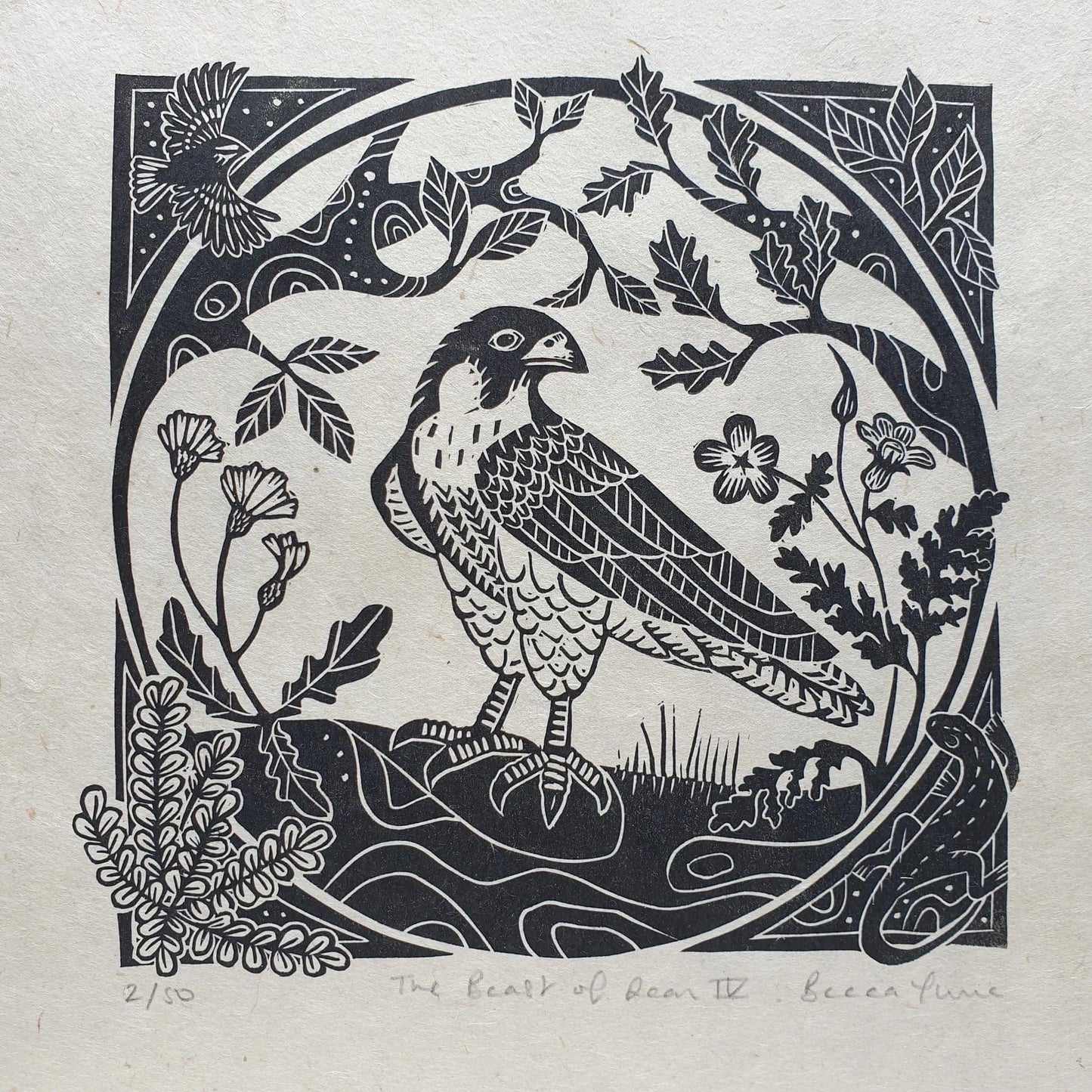 Print Peregrine Falcon Version IV - Framed (in store only) The Beast of Dean Original Linocut (various designs) homeware shops bristol gift shops bristol Becca Thorne Illustration