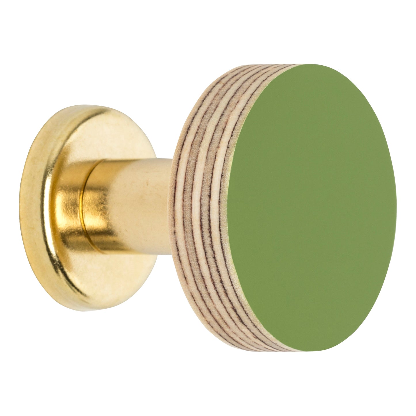 Cabinet Knob Birch & Brass Knob in Fern Green homeware shops bristol gift shops bristol Priormade