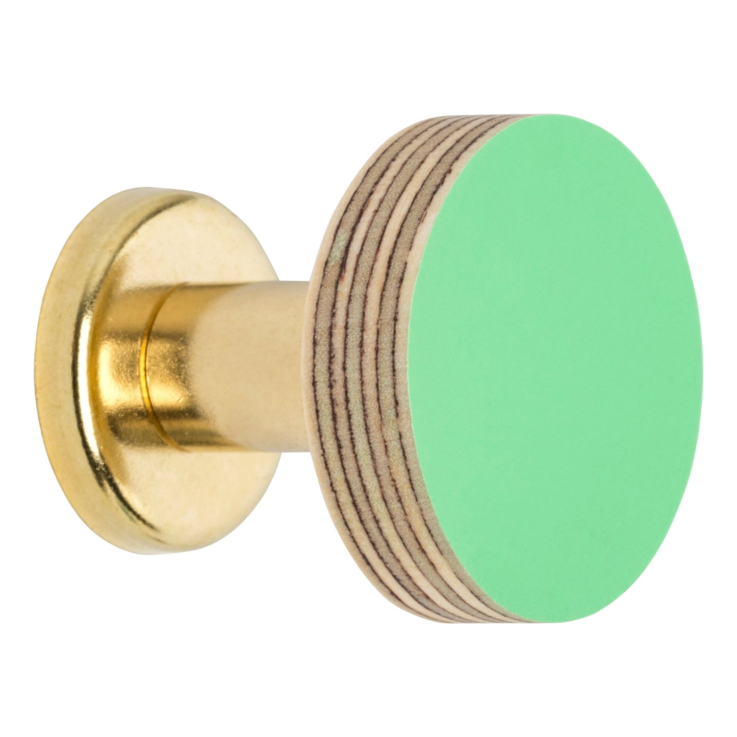 Cabinet Knob Birch & Brass Knob in Mint Green homeware shops bristol gift shops bristol Priormade