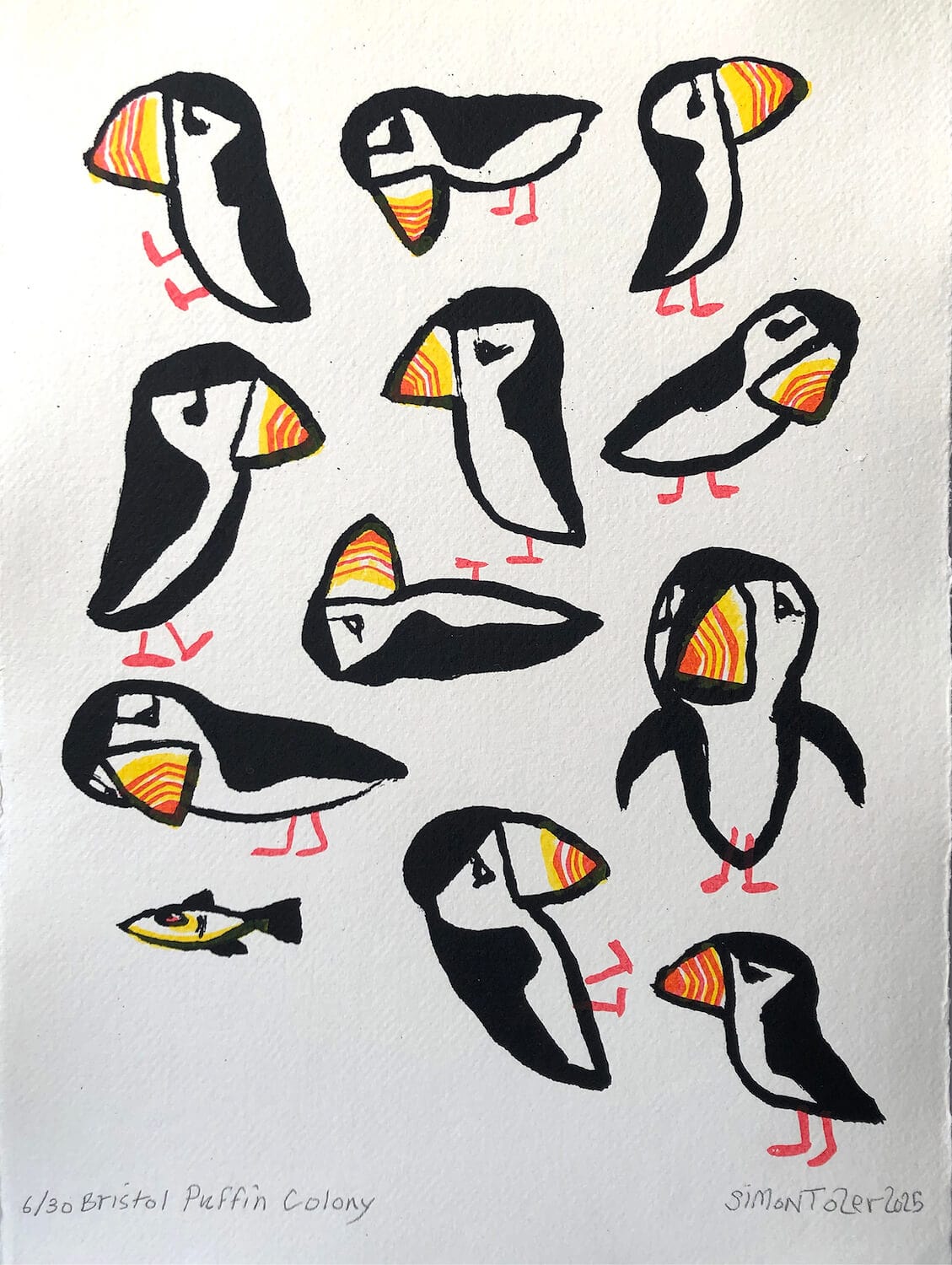 Puffin Print Puffin Colony - Original Screen Print - 21 x 30cm (A4) homeware shops bristol gift shops bristol Simon Tozer