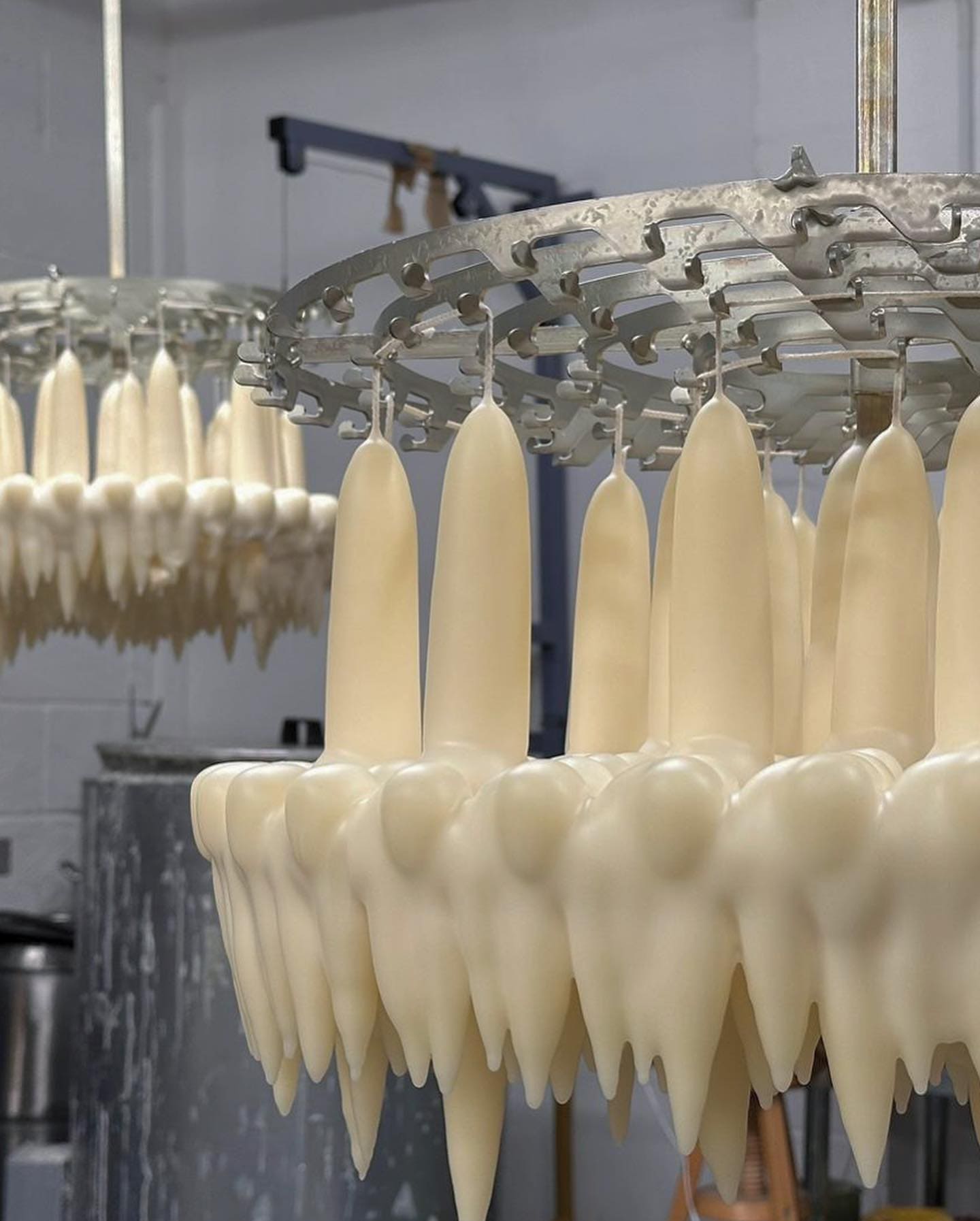 Candles Hand Dipped Beeswax Candles in 'Laurel' - 2 styles available homeware shops bristol gift shops bristol Wax Atelier