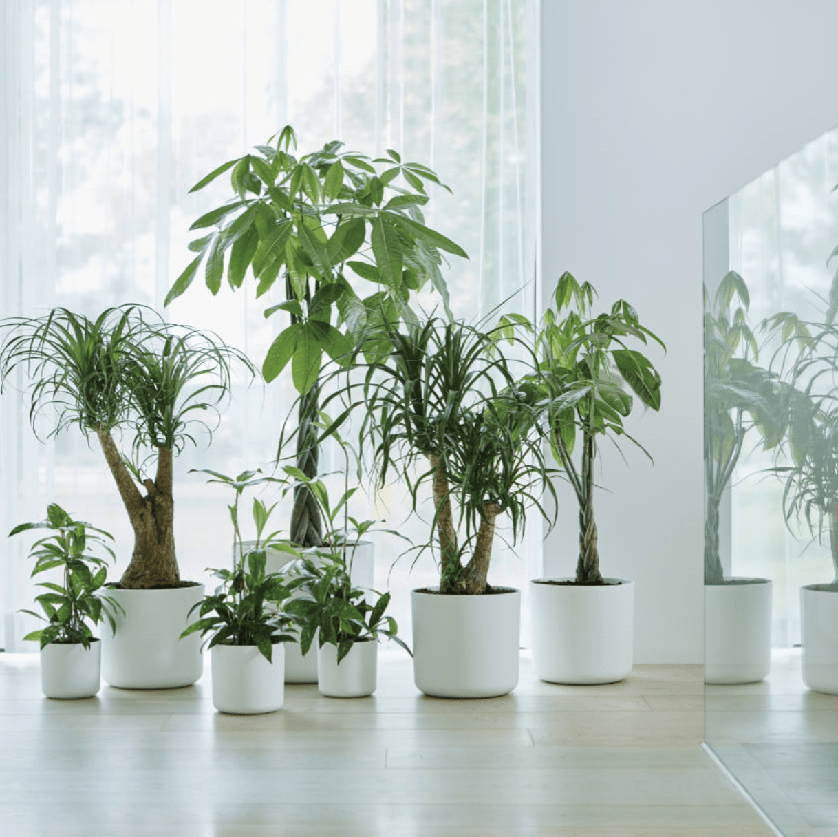 Plant Pots Recycled Plastic Plant Pot - 'b.for soft round' in White homeware shops bristol gift shops bristol Elho