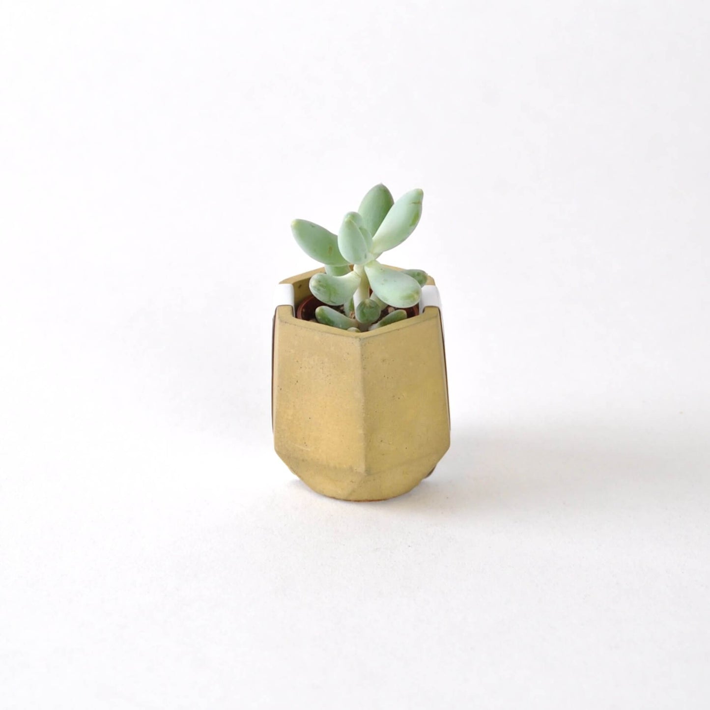 Vessel Coastline Concrete Mini Vessel - Hexagon (various colours) homeware shops bristol gift shops bristol Fern
