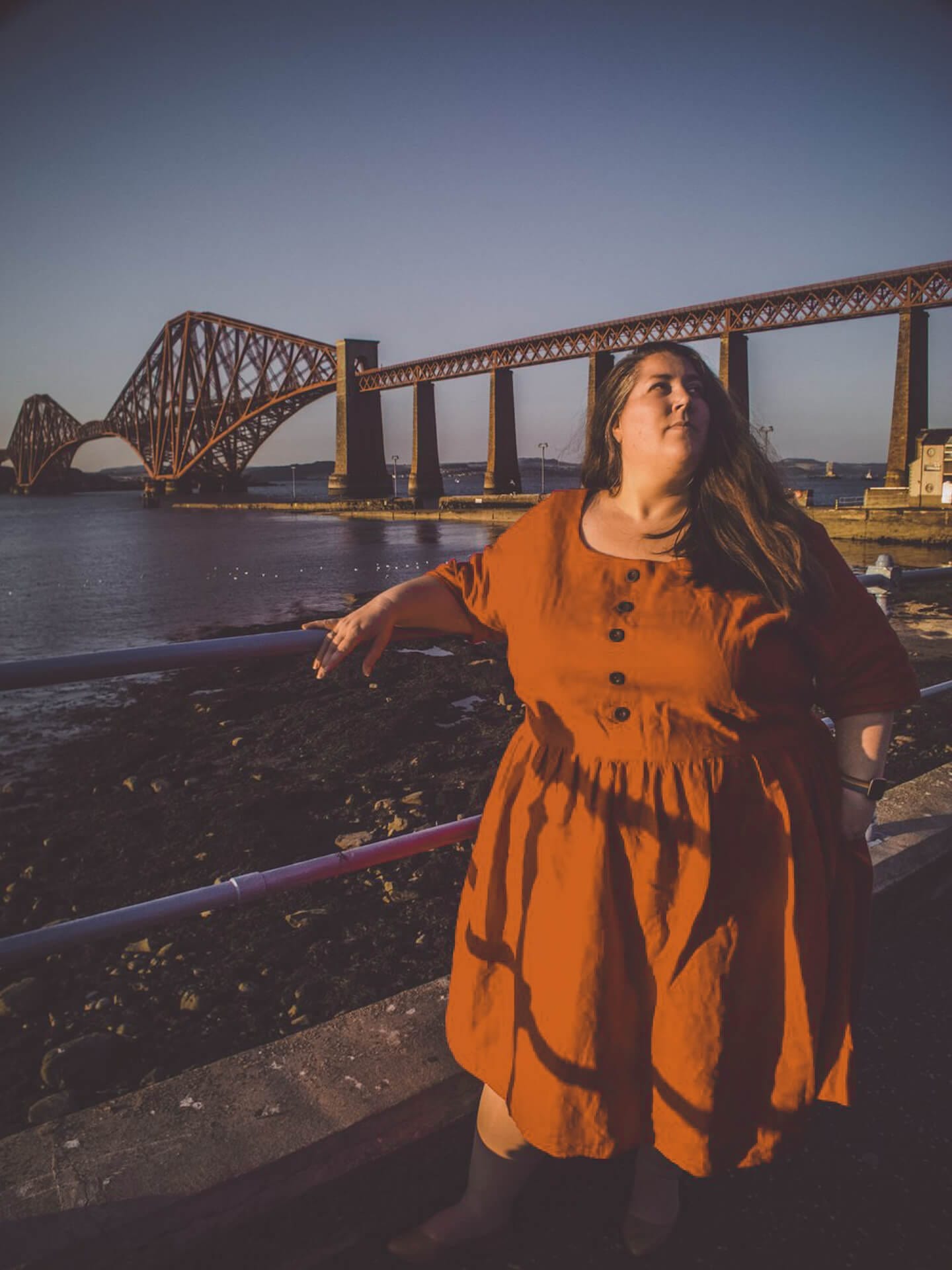 Dress 5 XL Eleanor Linen Dress - Rust homeware shops bristol gift shops bristol House Of Flint