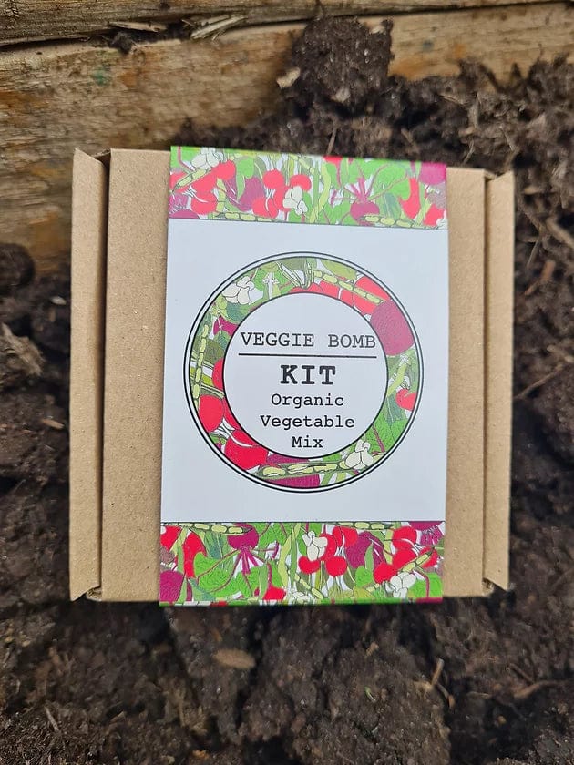 Making Kits Veggie Bomb Kit homeware shops bristol gift shops bristol Nature Nurture Kids