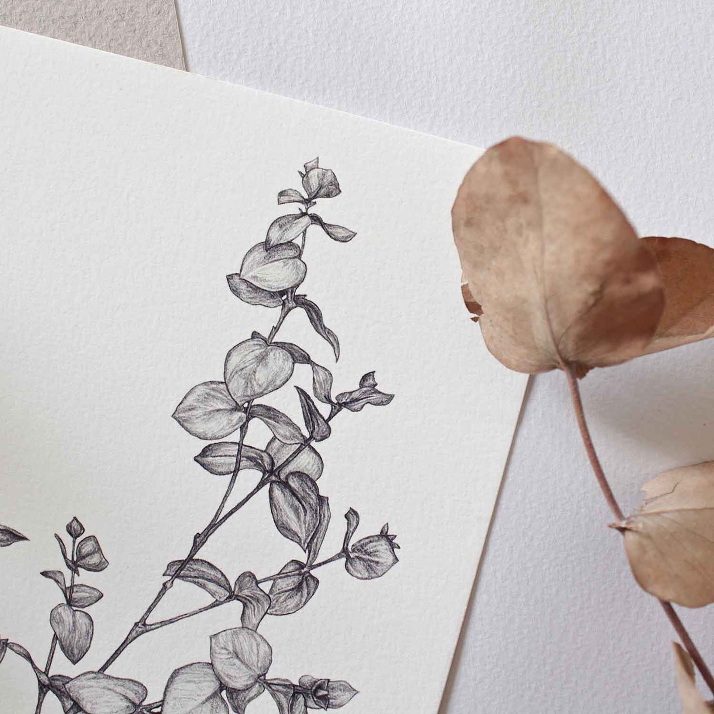 Prints Giclée Print A5 'Eucalyptus' homeware shops bristol gift shops bristol Sky Siouki