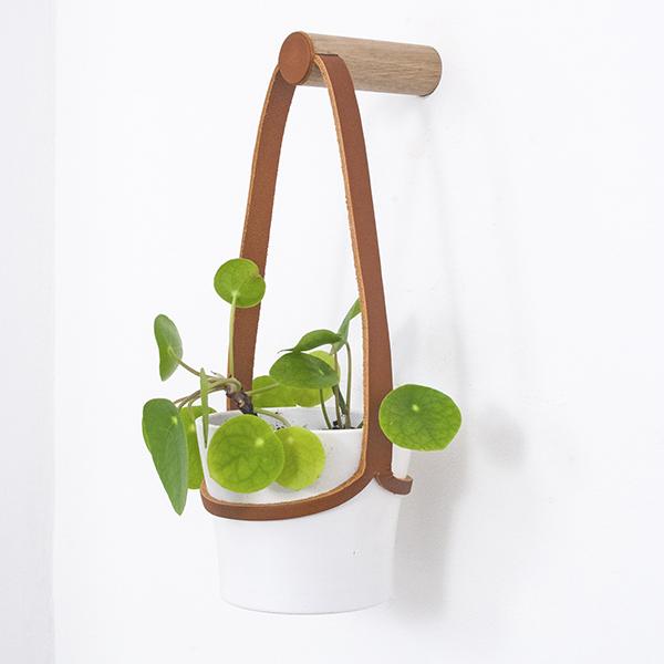 indoor plant hangers uk Peg Wall Hanger with Hanging Pot (various sizes and colours)