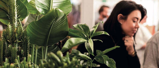 A Sustainable Way To Shop House Plants and Homewares In Bristol's City Centre