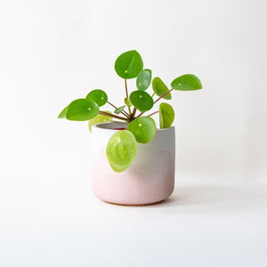 Pot Blush Fade Pot Small (various colours) homeware shops bristol gift shops bristol Desire North Design