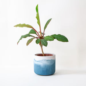 Pot Navy Fade Pot Small (various colours) homeware shops bristol gift shops bristol Desire North Design