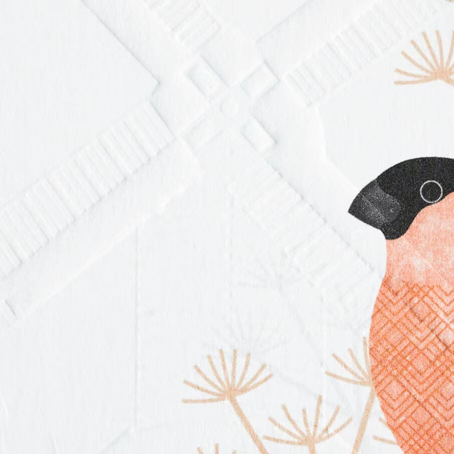 Bird Greetings Cards Bullfinch (Embossed) Greeting Card homeware shops bristol gift shops bristol Ash Leaf Printmaking