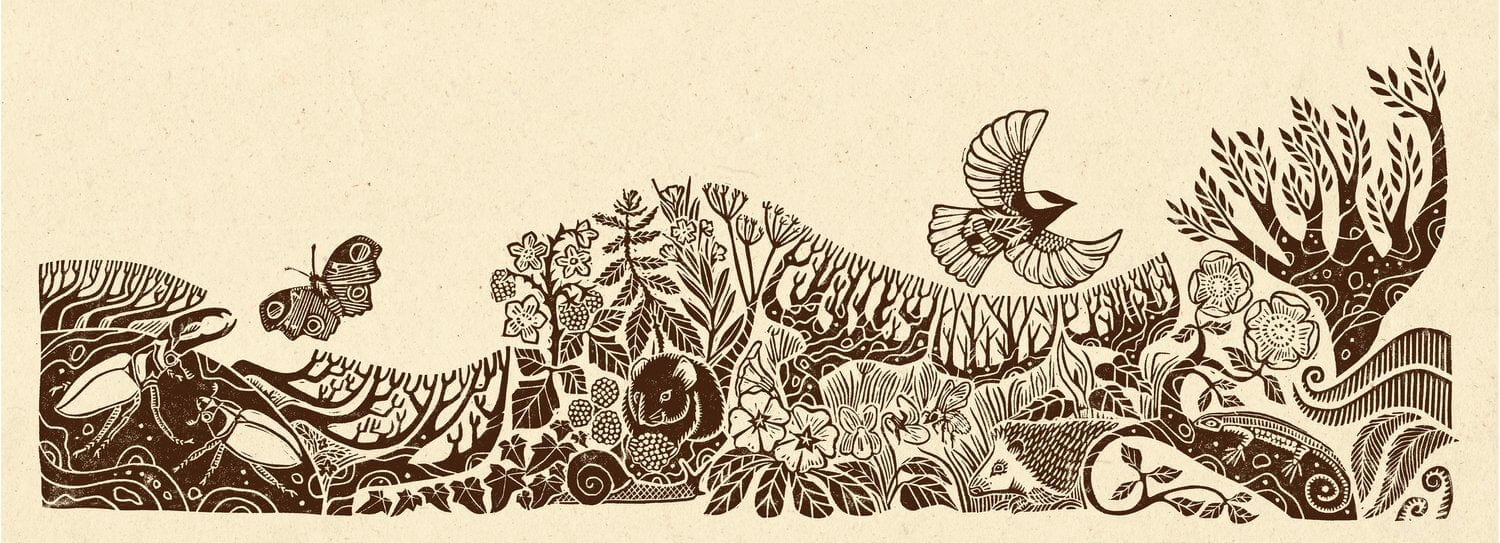 Becca Thorne Illustration The Hedgerow - Original Lino Print (Unframed)