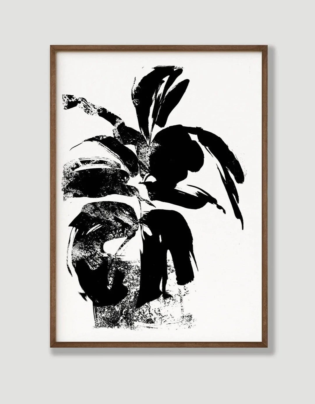 Ben Rogers Prints Greetings Card Fiddle Fig in Sunlight - Botanical A3 Screen Print