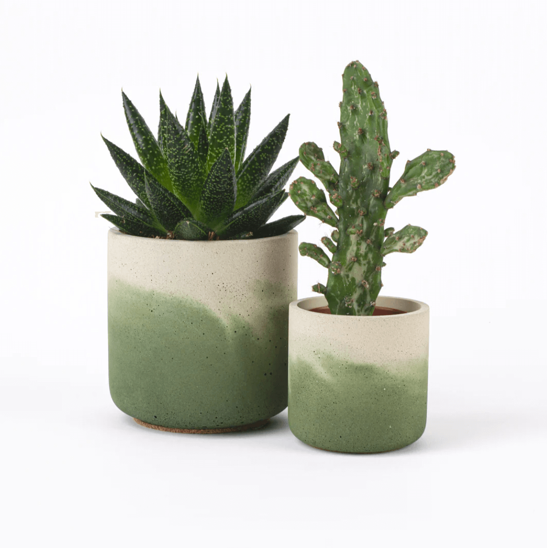 Desire North Design Pot Fade Pot Small