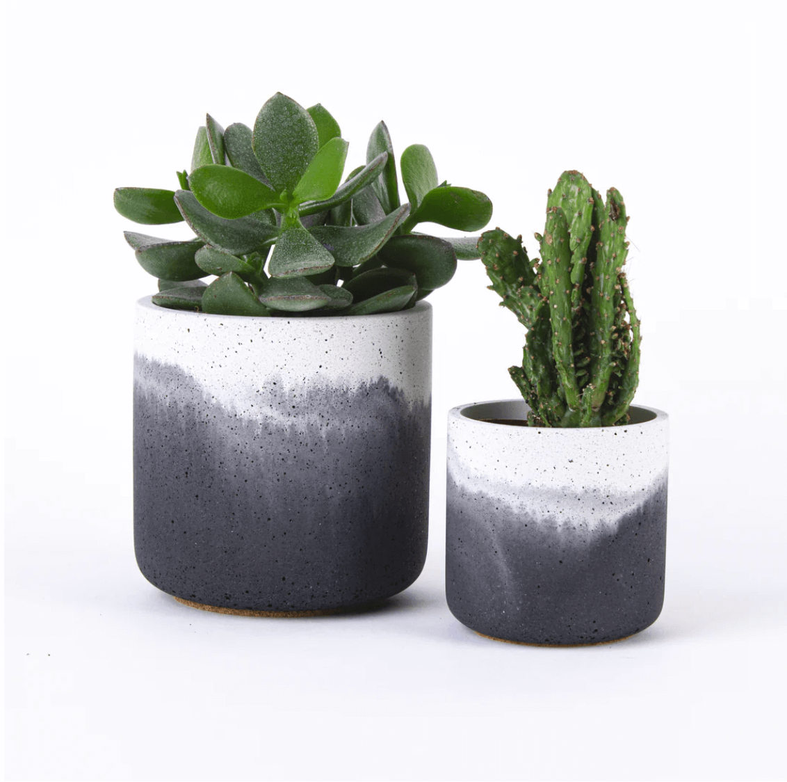 Desire North Design Pot Fade Pot Small