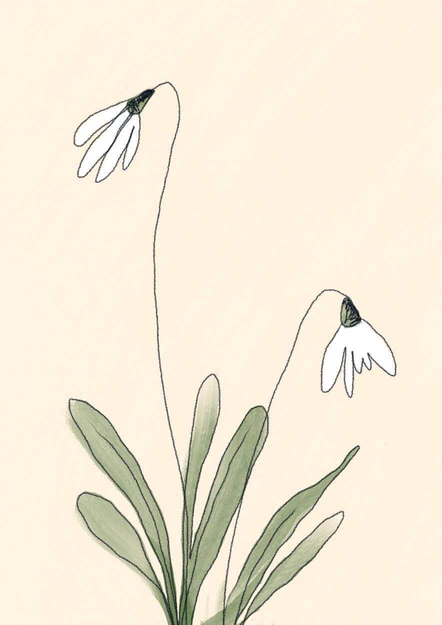 Greetings Card Snow Drops Greetings card homeware shops bristol gift shops bristol Do It Later Illustration