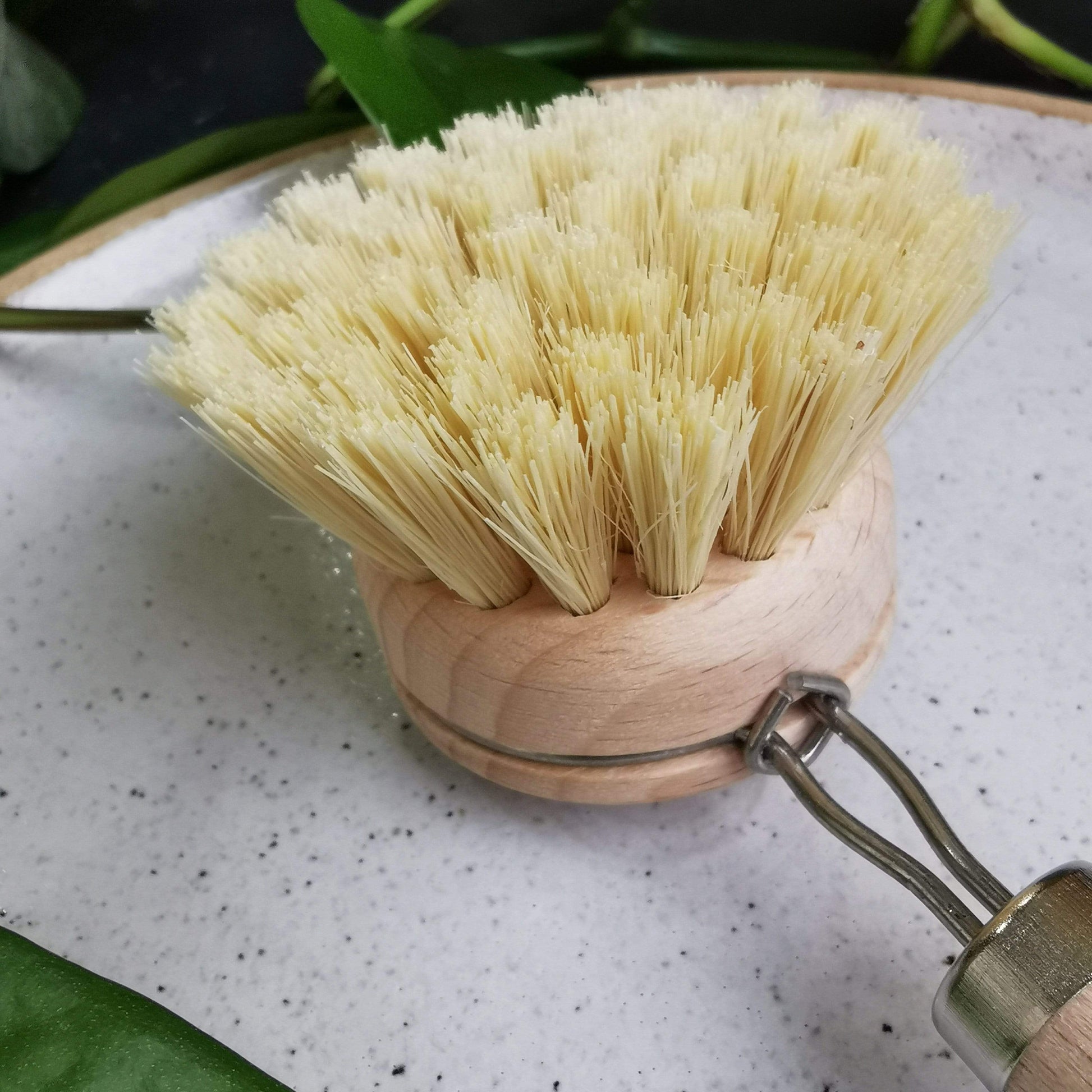 Ecovibe Eco Brush Long Handle Eco Bamboo Dish Brush - Replacement Head