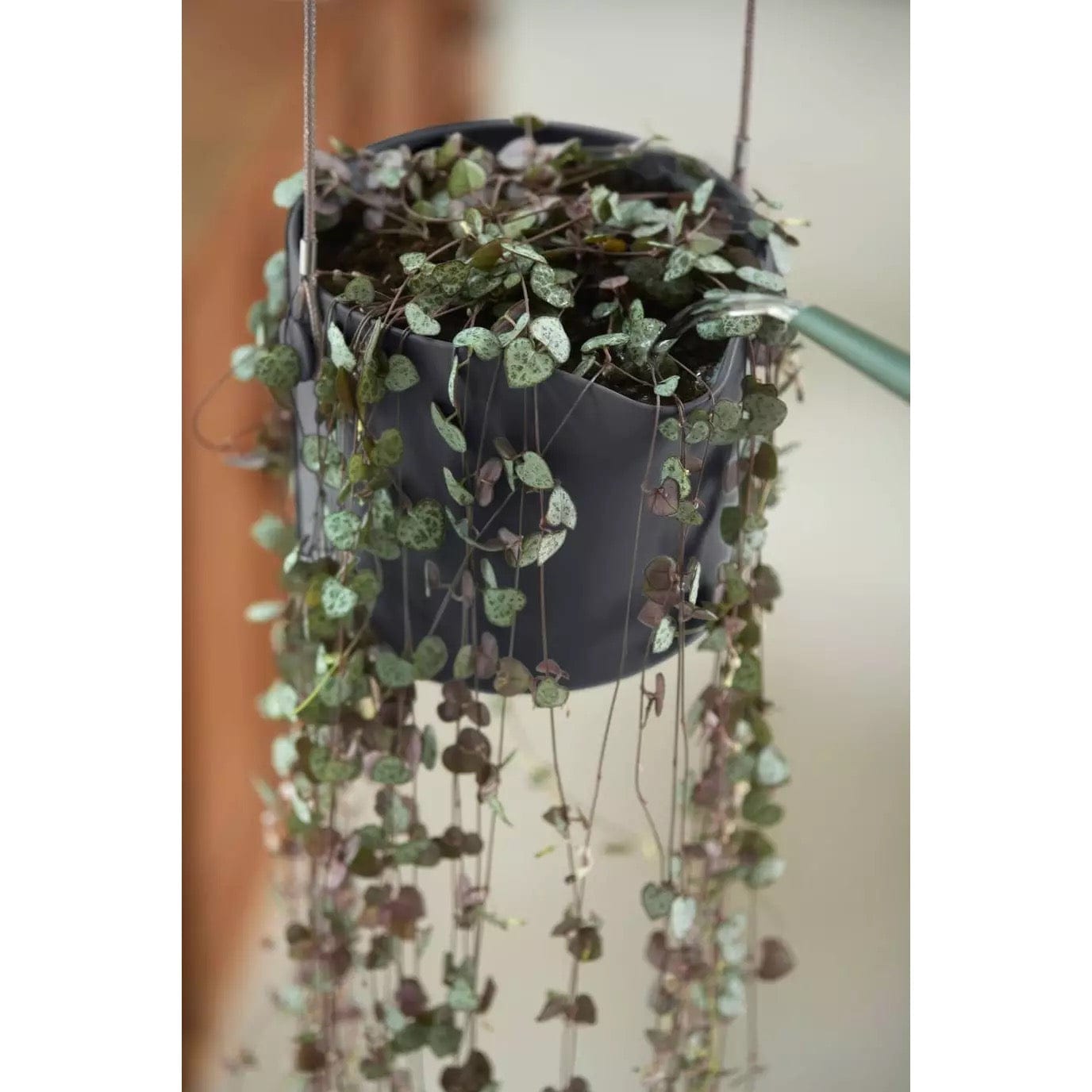 Elho Plant Pots Recycled Plastic Hanging Plant Pot -  'b.for swing ' in Anthracite