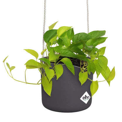 Elho Plant Pots Recycled Plastic Hanging Plant Pot -  'b.for swing ' in Anthracite