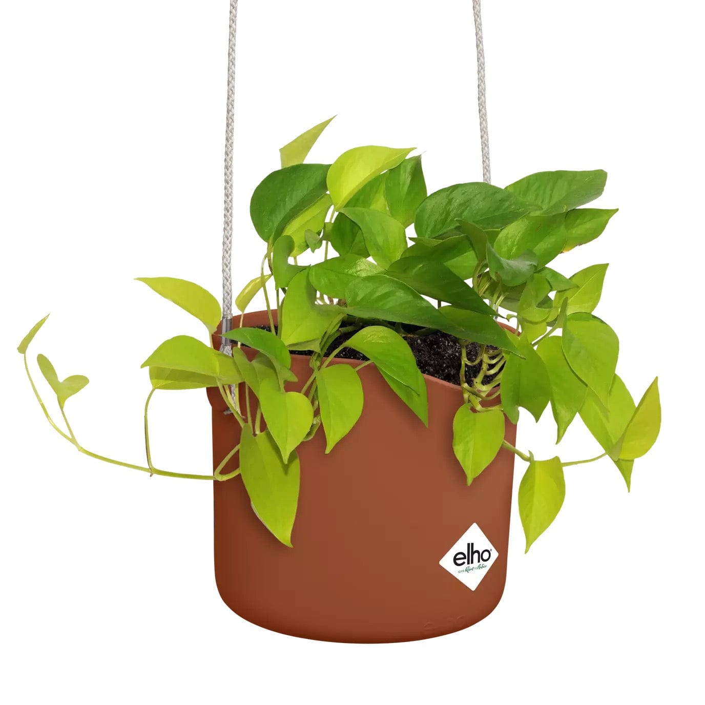 Elho Plant Pots Recycled Plastic Hanging Plant Pot -  'b.for swing ' in Brique