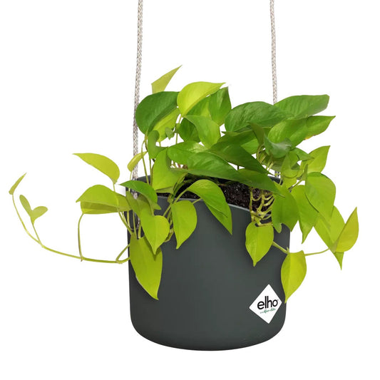 Elho Plant Pots Recycled Plastic Hanging Plant Pot -  'b.for swing ' in Leaf Green