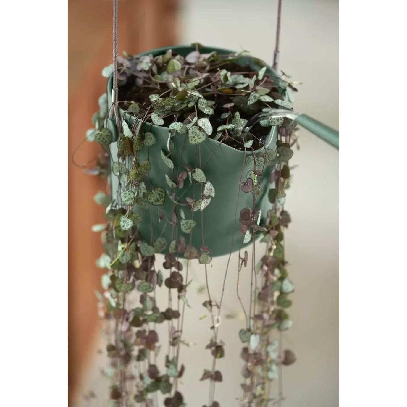 Elho Plant Pots Recycled Plastic Hanging Plant Pot -  'b.for swing ' in Leaf Green