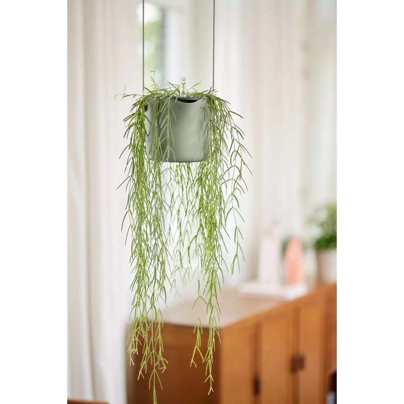 Elho Plant Pots Recycled Plastic Hanging Plant Pot -  'b.for swing ' in Stone