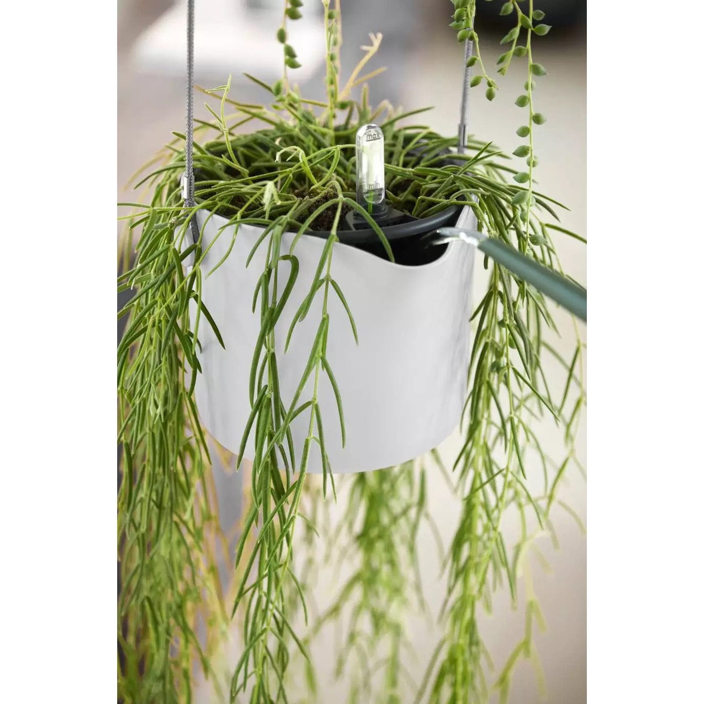 Elho Plant Pots Recycled Plastic Hanging Plant Pot -  'b.for swing ' in White