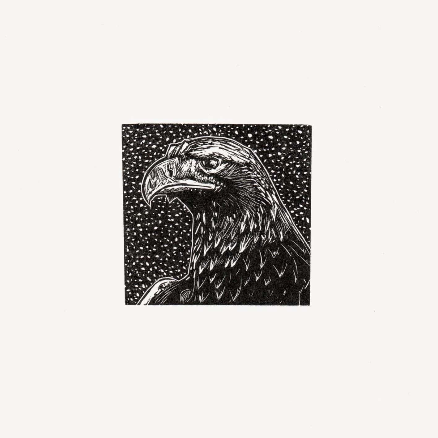 Bird Print Eagle- wood engraving homeware shops bristol gift shops bristol Fiona Hamilton