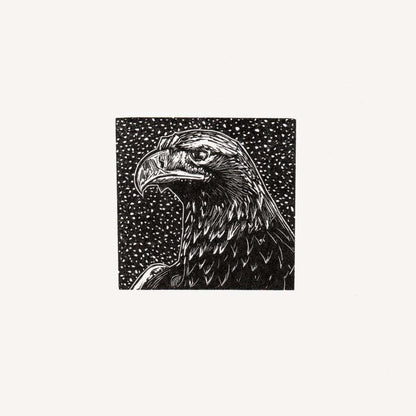 Bird Print Eagle- wood engraving homeware shops bristol gift shops bristol Fiona Hamilton