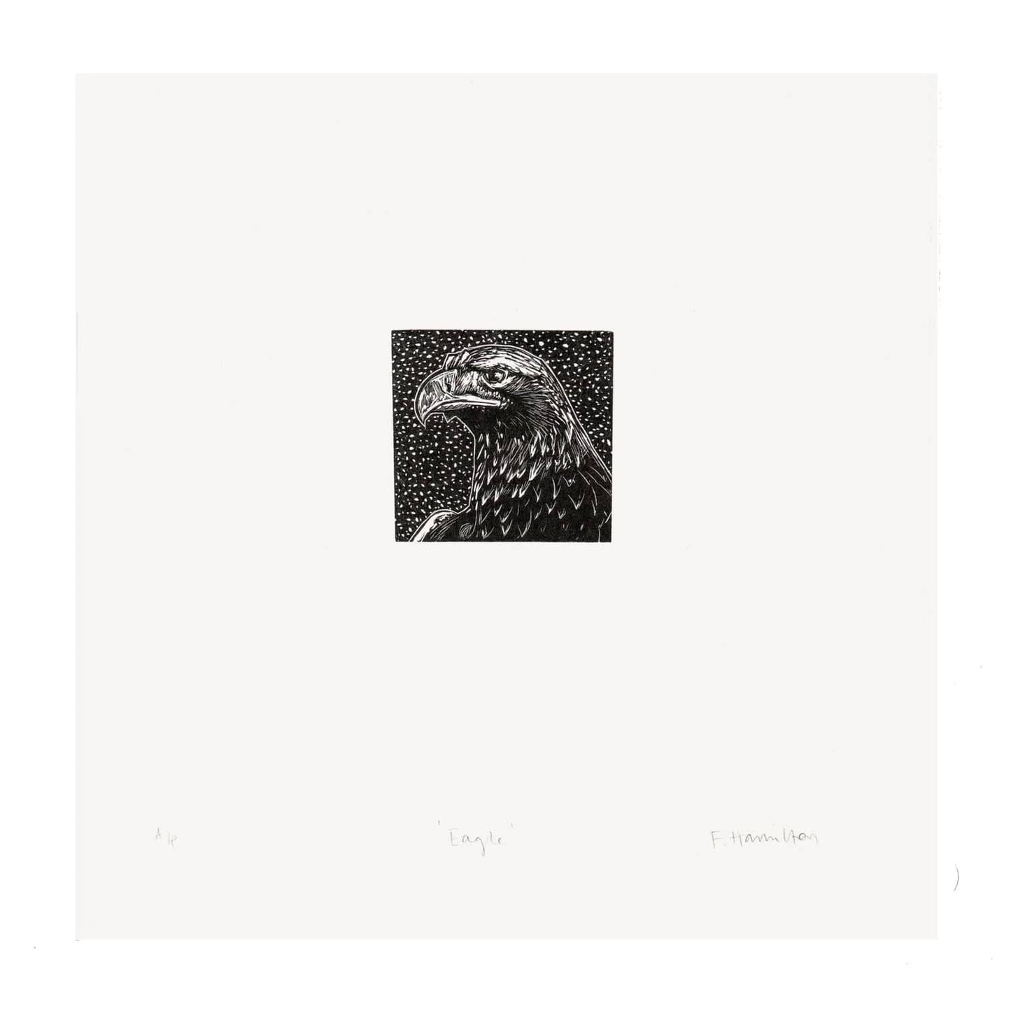 Bird Print Eagle- wood engraving homeware shops bristol gift shops bristol Fiona Hamilton