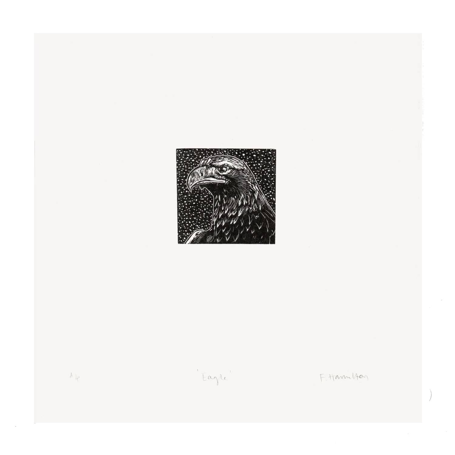 Bird Print Eagle- wood engraving homeware shops bristol gift shops bristol Fiona Hamilton