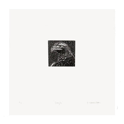 Bird Print Eagle- wood engraving homeware shops bristol gift shops bristol Fiona Hamilton