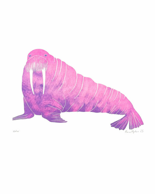 Walrus Print Walrus A3 risograph print homeware shops bristol gift shops bristol Harriet Popham
