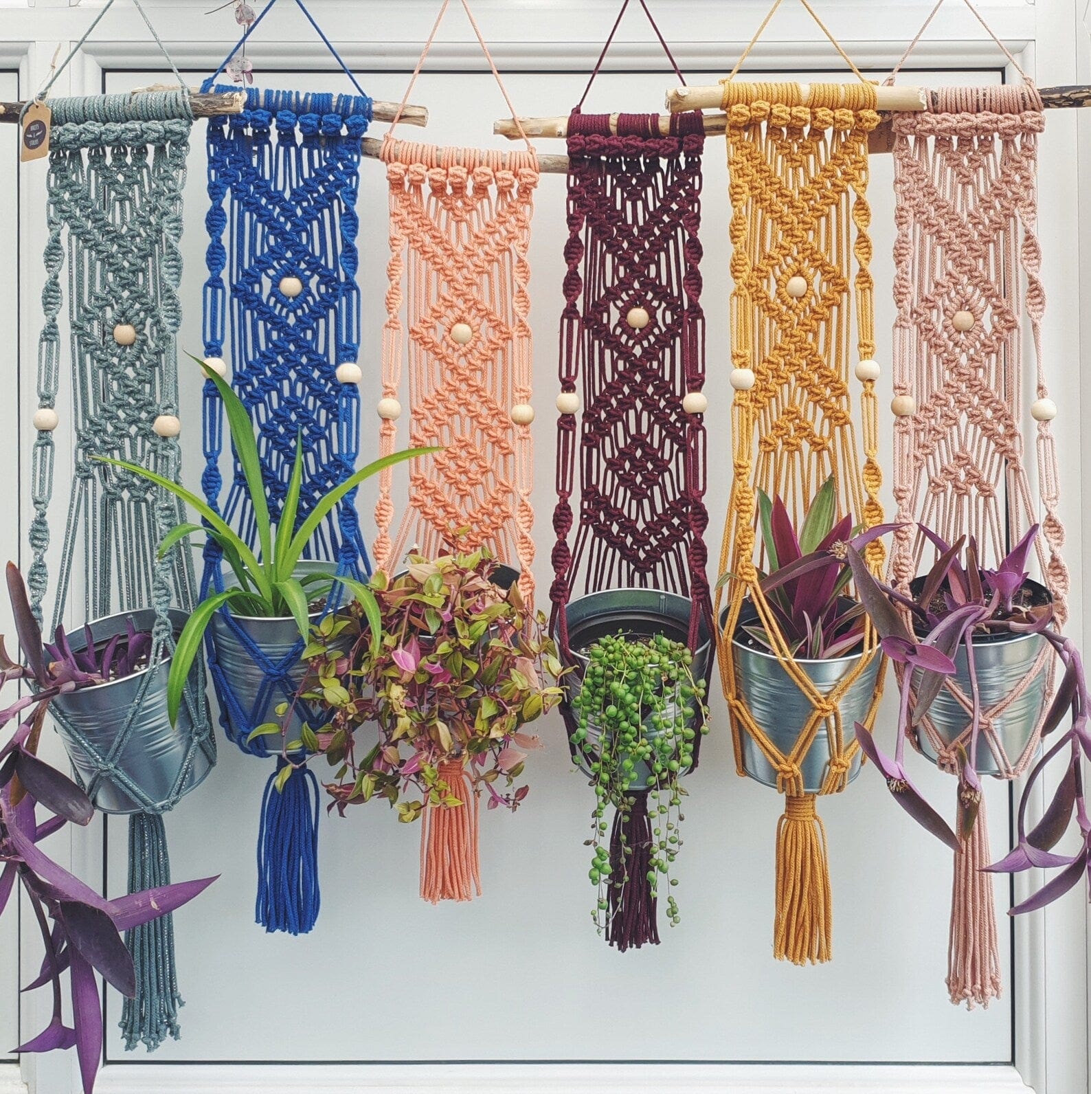 Knots and Stalks Driftwood Macramé Plant Hanger (various colours)