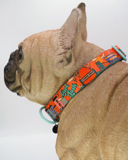 Bristol Dog Collar Cheers Drive Dog Collar homeware shops bristol gift shops bristol Mind The Fluff