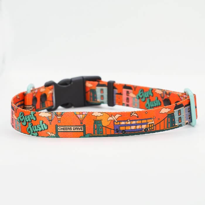 Bristol Dog Collar Cheers Drive Dog Collar homeware shops bristol gift shops bristol Mind The Fluff