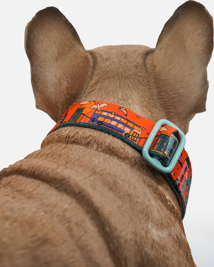 Bristol Dog Collar Cheers Drive Dog Collar homeware shops bristol gift shops bristol Mind The Fluff