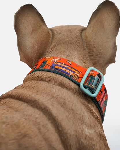 Bristol Dog Collar Cheers Drive Dog Collar homeware shops bristol gift shops bristol Mind The Fluff