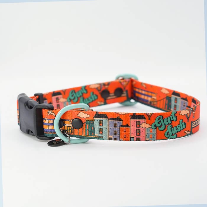 Bristol Dog Collar Cheers Drive Dog Collar homeware shops bristol gift shops bristol Mind The Fluff