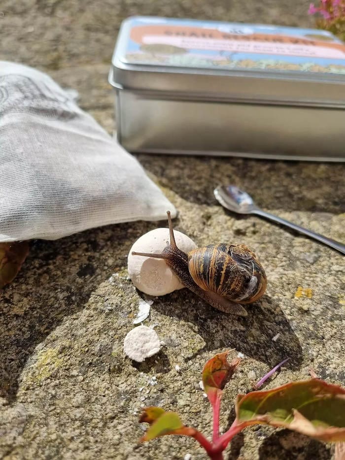 Kids Nature Kit Snail Rescue Kit homeware shops bristol gift shops bristol Nature Nurture Kids