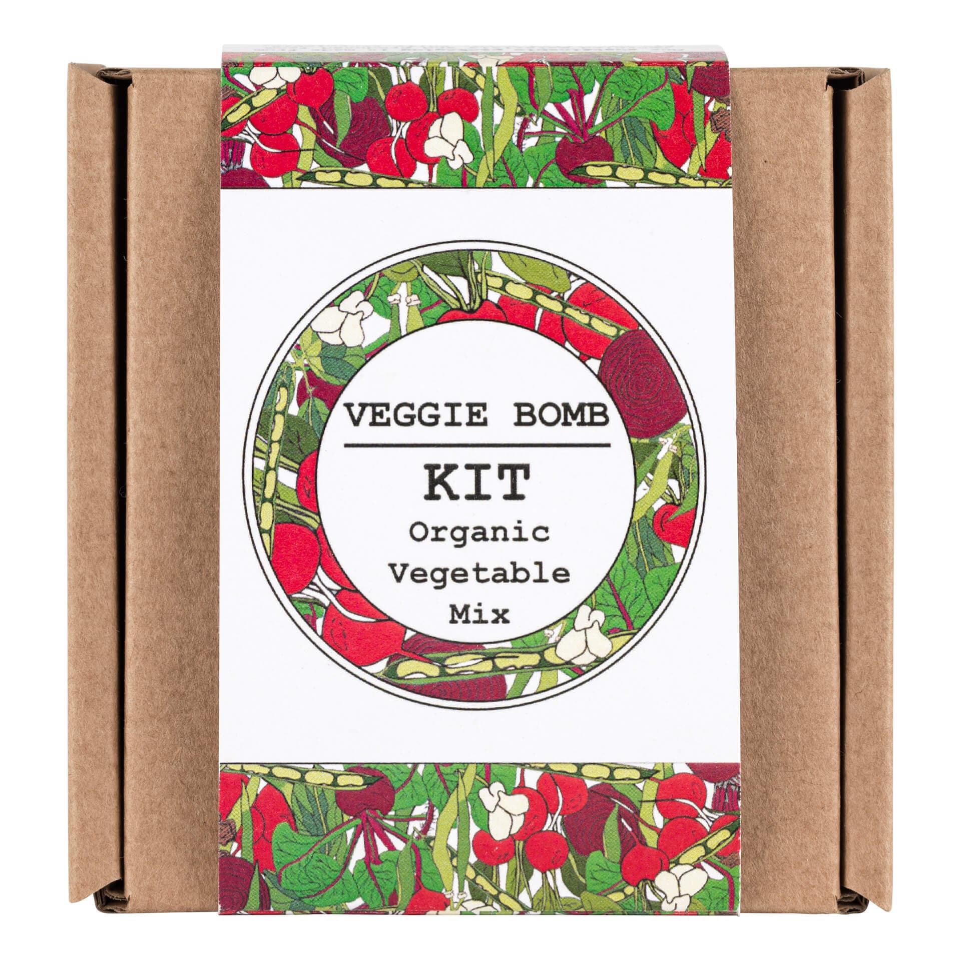 Making Kits Veggie Bomb Kit homeware shops bristol gift shops bristol Nature Nurture Kids