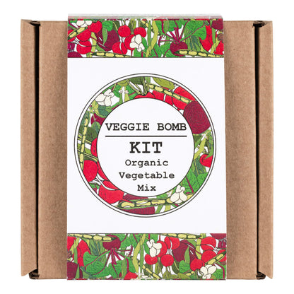 Making Kits Veggie Bomb Kit homeware shops bristol gift shops bristol Nature Nurture Kids