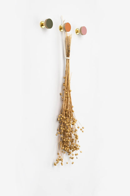 Birch & Brass Knob in White homeware shops bristol gift shops bristol Priormade