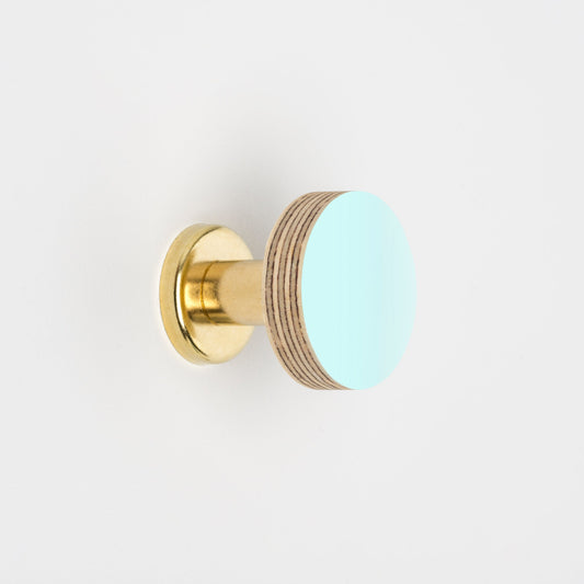 Cabinet Knob Birch & Brass Knob in Aqua Blue homeware shops bristol gift shops bristol Priormade