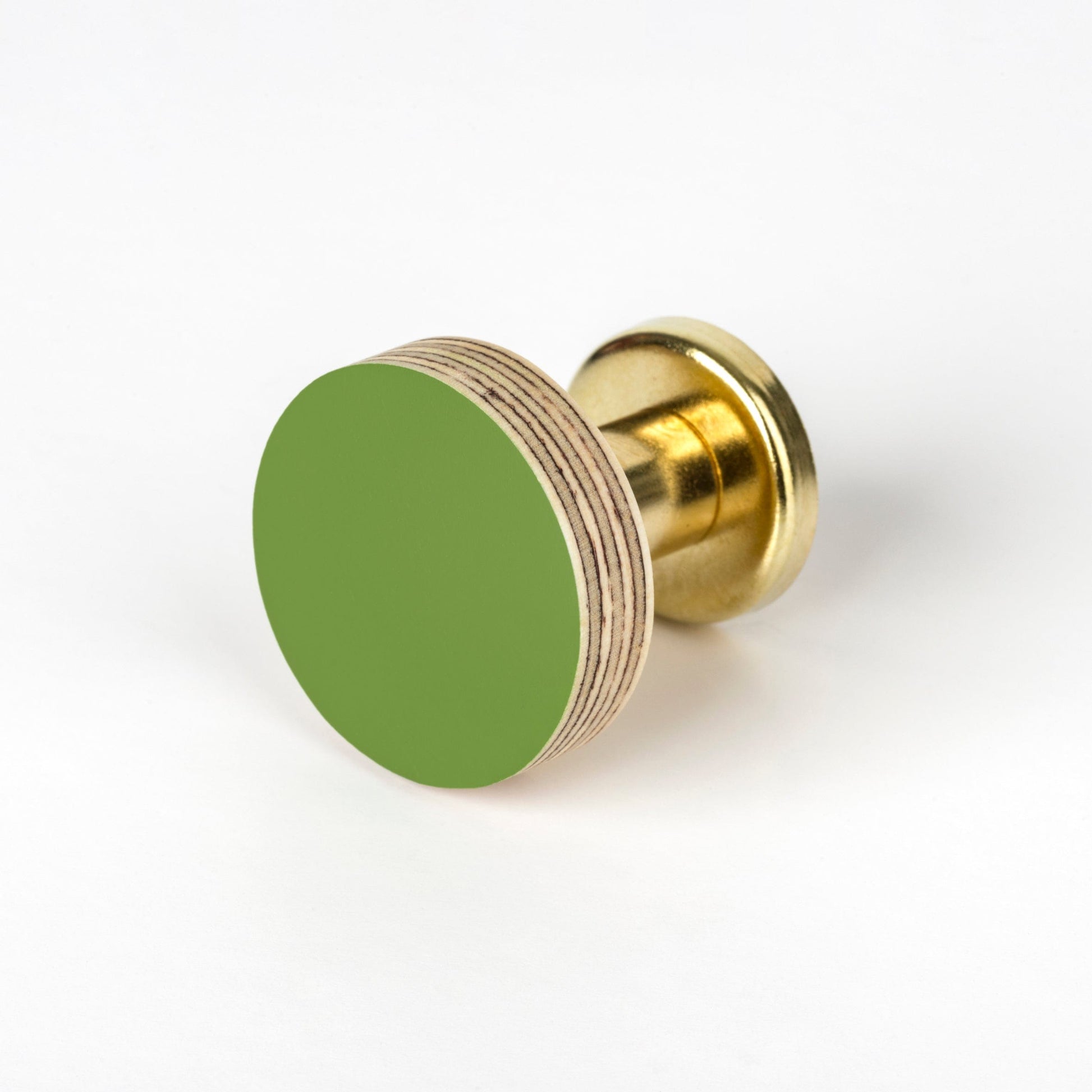 Cabinet Knob Birch & Brass Knob in Fern Green homeware shops bristol gift shops bristol Priormade