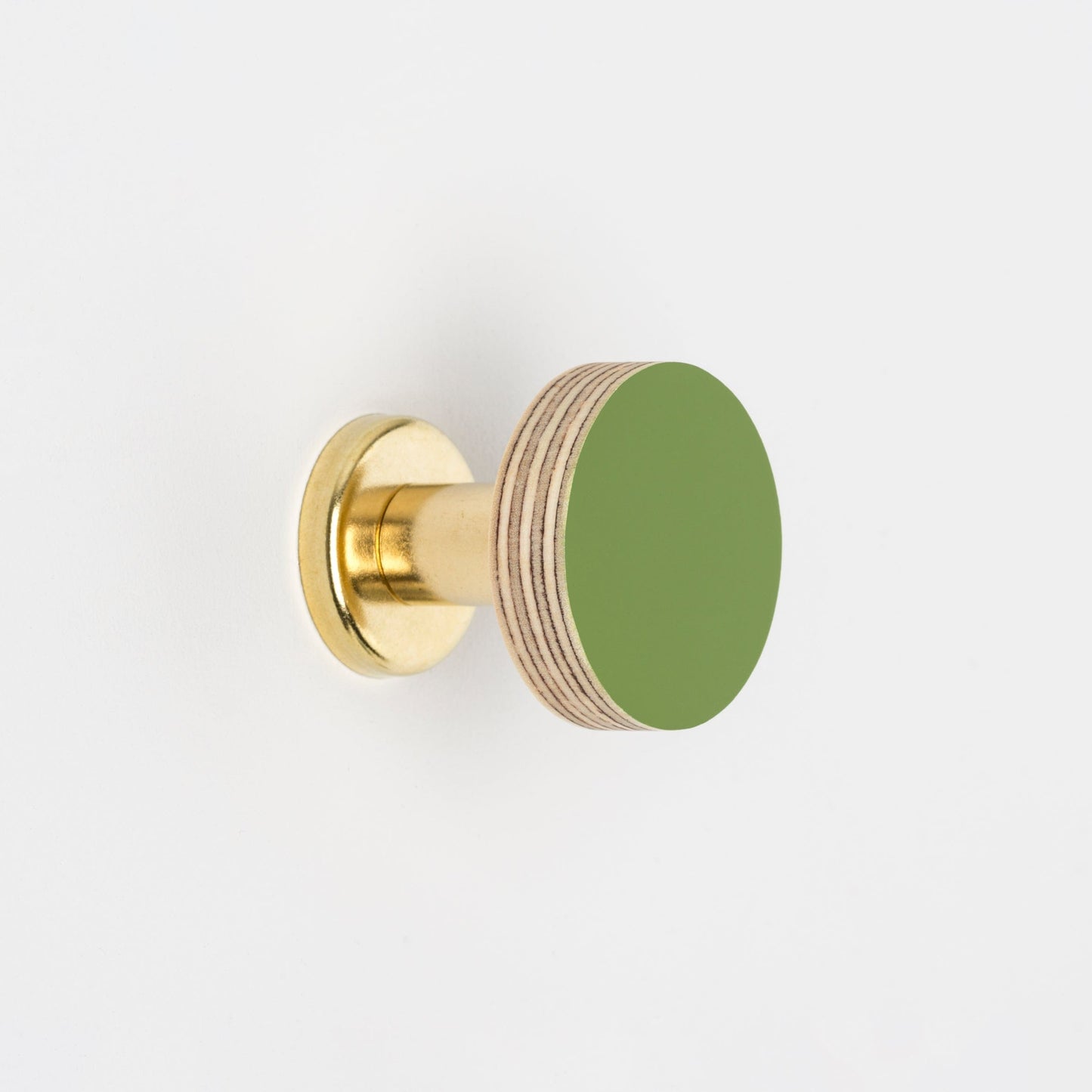 Cabinet Knob Birch & Brass Knob in Fern Green homeware shops bristol gift shops bristol Priormade